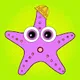 Funny Sea Stars