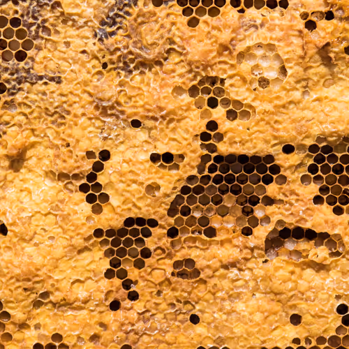 Security. Not a Security.