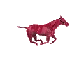 High Horse Ranch
