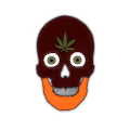 Pothead #313