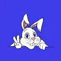 Sly Bunnies Club Originals
