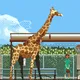 Mr Giraffe - NFT