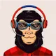 The Kong Society