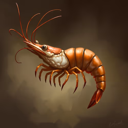 Savory Shrimp