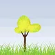 NKTrees Real Trees NFTs