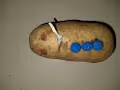 Baked Potato