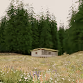 Atarda History Cabins NFT collection