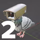 PigeonDrop