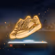 The Golden Shoes