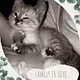 Cute Animals NFT Photography