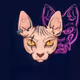 The Samurai Feline