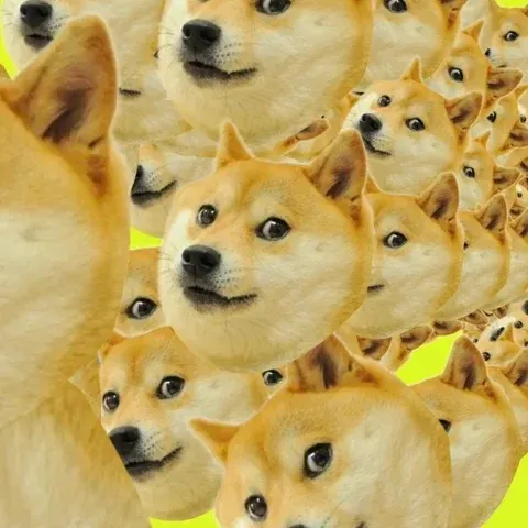 Doge NFT