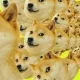 Doge NFT