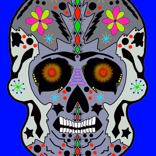 The Adventures of Skully