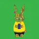 Mr Crypto Rabbit