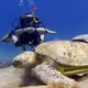 Dive with me V2