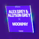 Alex Grey & Allyson Grey x MoonPay Now Boarding
