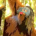 MarleyTheOrangUtan