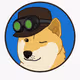 doge