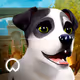 DOGAMI Collection
