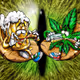Beer and Weed