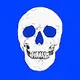 Crazy Skulls ~ XOArch
