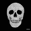 Crazy Skulls ~ XOArch