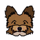 Kex