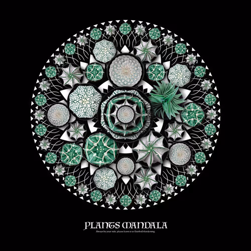 PLANTS MANDALA #0