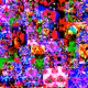 The LSD of E.T.