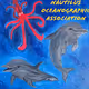 Nautilus Oceanographic Association
