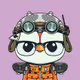 Distinct Penguin Flightless