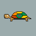 TurtleTokens