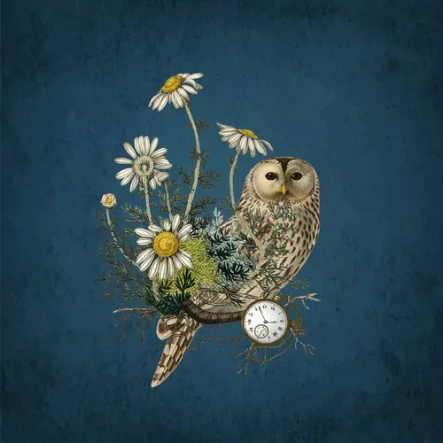 Owl & Clock
