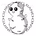 Guinea Pig Band