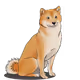 Cute ShibaInu