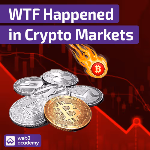 WTF Just Happened in Crypto Markets