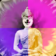 POP*DOGE COLLECTION