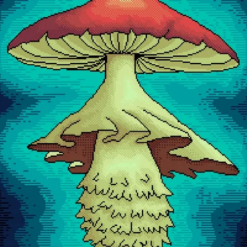 Saga Mushrooms