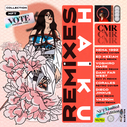 HAIKU REMIXES Various Artist