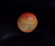Universo555