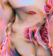 Andrew Maher X MetaDreams: Flesh