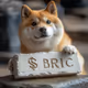BRIC