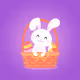Pretty Bunny Official