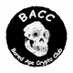Bored Ape Crypto Club Polygon
