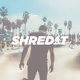 Shredits Collection
