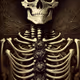 The Skull