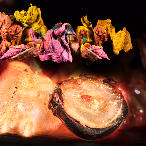 Bio Nanoscape Safari