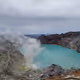 nature9