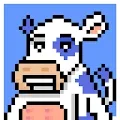 Smiling Cows